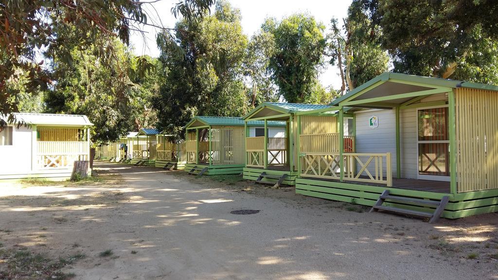 Le Camping De La Plage Aregno Kültér fotó